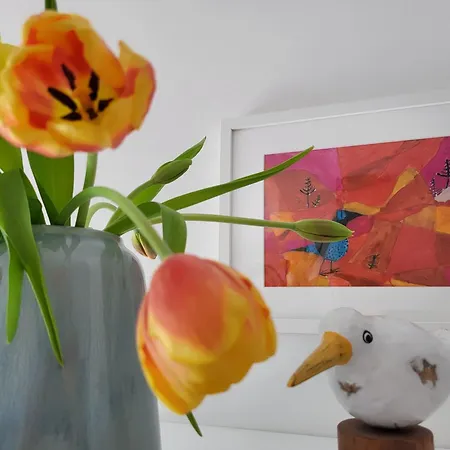 Apartman 2406 - Sonnendeck Strandwiese Dahme